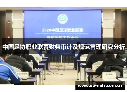 中国足协职业联赛财务审计及规范管理研究分析 中国足协职业联赛财务审计及规范管理研究分析
